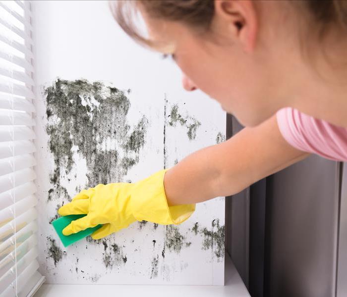 A close-up of a woman cleaning mold from a wall wearing rubber yellow gloves and using a sponge