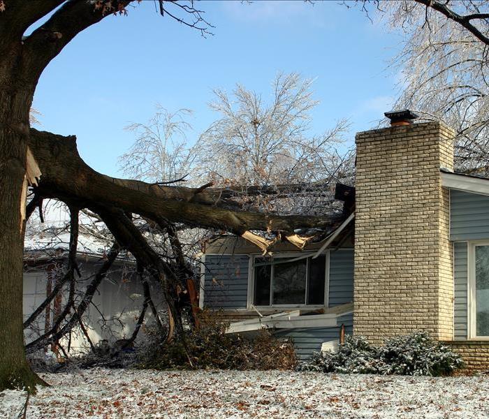 A large oak tree on a house after a terrible ice and snow storm